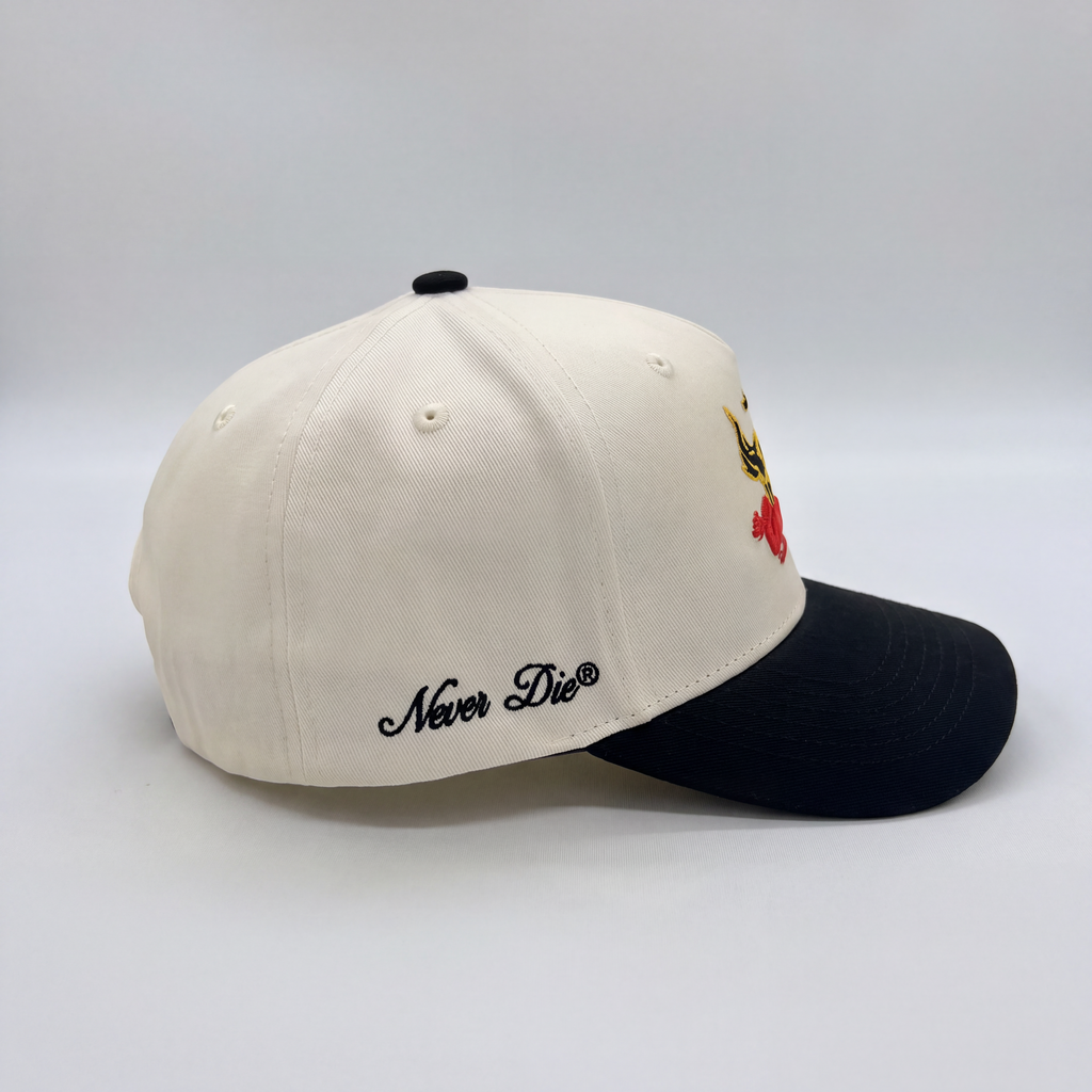 THE HIGH DESERT SNAPBACK - BONE/BLACK