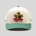 THE HIGH DESERT SNAPBACK