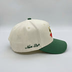 THE HIGH DESERT SNAPBACK
