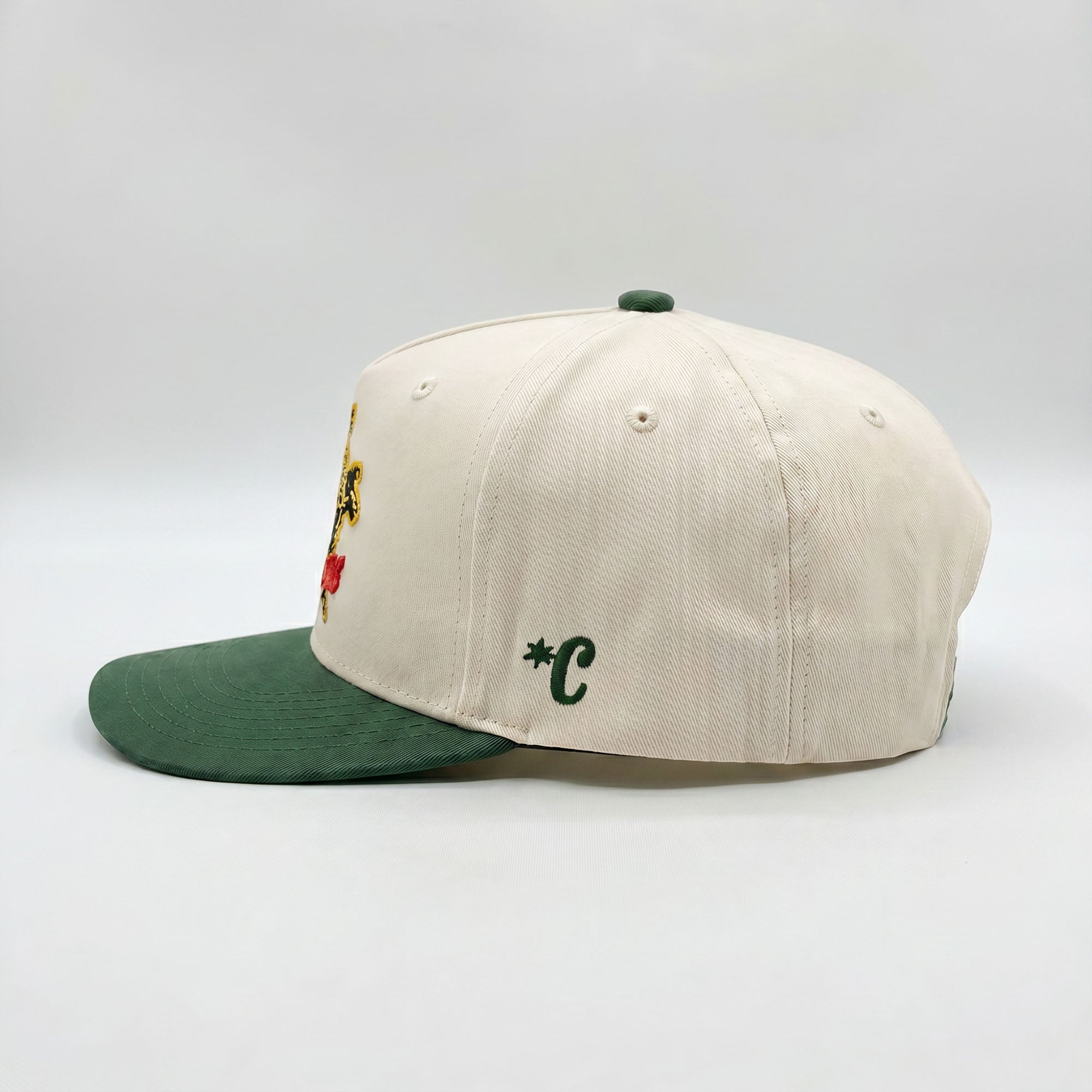 THE HIGH DESERT SNAPBACK